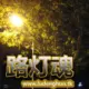 灰常记忆-路灯魂