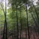 灰常记忆-爱笑啦
