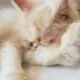 灰常记忆-写作清单
