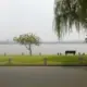 灰常记忆-佐瞌
